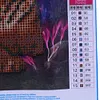 Tiger - Partial Round Diamond Painting
