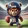 Chicago Bears Football-11CT Stamped Cross Stitch 40*40cm