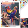 Perroquet Compl&egrave;te Carr&eacute; Diamant Peinture 30X40CM
