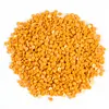 DMC 10g Round Drills Package DIY  Diamond Painting Rhinestones