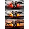 Elephant Landscape -Full Round Diamond Painting(80*40cm)
