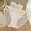 Pure Desire Lace Seamless Sexy Briefs