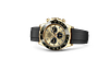 Rolex 116518LN Daytona Champagne-colour and Black - New