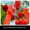 Nongyi pepper picking scissors picking artifact picking beans grape thin fruit scissors vegetable picking thumb knife fruit picking scissors pepper picking tool