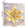 Lily DIY Pearl Painting Kit with Frame 30x30cm Pearl Gem Paintings Picture Arts Craft for Adults/Beginners Gift Home Wall Decor