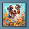 Laughing Dog-Paint by Numbers Acrylic Painting 40*40CM
