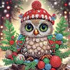 (US Local)4pack Xmas Owl-Special Shaped Diamond Painting Kit(30x30cm)