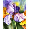 Iris-Paint by Numbers Acrylic Painting 40*50cm
