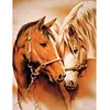 Loving Horses - Paint by Numbers Acrylic Painting 40x50cm(HOT)
