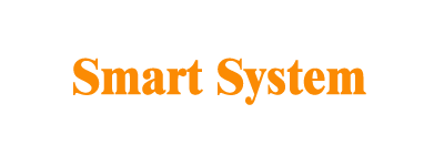 Smart System Drives Corporation Limited