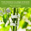 50/100/150 pi&egrave;ces Clips support pour plantes