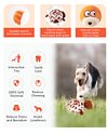 Zoo Ball | 2-in-1 Plush and Squeaky Tennis Ball for Dog | No Stuffing Tough Interactive Fetch Dog Toys for Small Medium Large Dogs