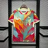 2024-2025 Venezia FC Special Edition Football Shirt 1:1 Thai Quality