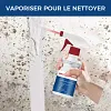 Spray anti-moisissure