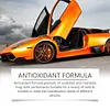 Synthetic Grease for Car Care Brake Grease Multi-Purpose Lubricant for Car Parts