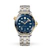Omega  210.20.42.20.03.001 Seamaster Diver 300m Co-Axial-Maste - New