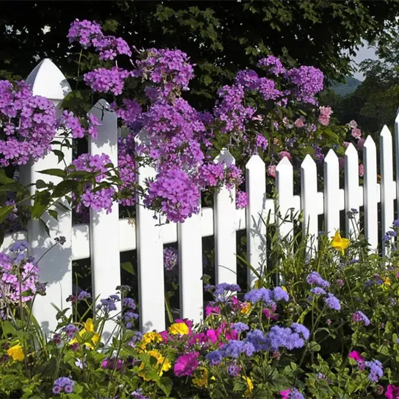 Mixed Perennial Flowers for All Seasons &ndash; 100+ Kinds