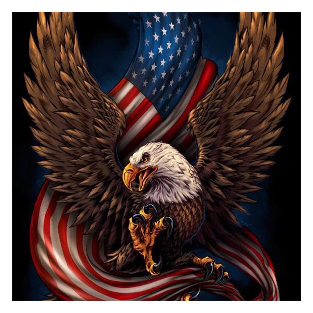 Eagle Flag-Paint by Numbers-16"x16"/40x40cm