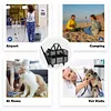 Pet Carrier- Airline Approved Dog Carrier with Wheels: Pet Travel Carrier, Cat Carrier with Telescopic Handle &ndash; Ideal for Dogs and Cats Easy to Fold
