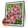 Diamond Painting-DIY Full Round Drill Flower