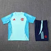 2025/2026 Flamengo Pre-Match Light Blue Training Shirt+Shorts 1:1 Thai Quality