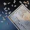 100 pcs Cat and Dog Shaped Wooden Jigsaw Puzzles