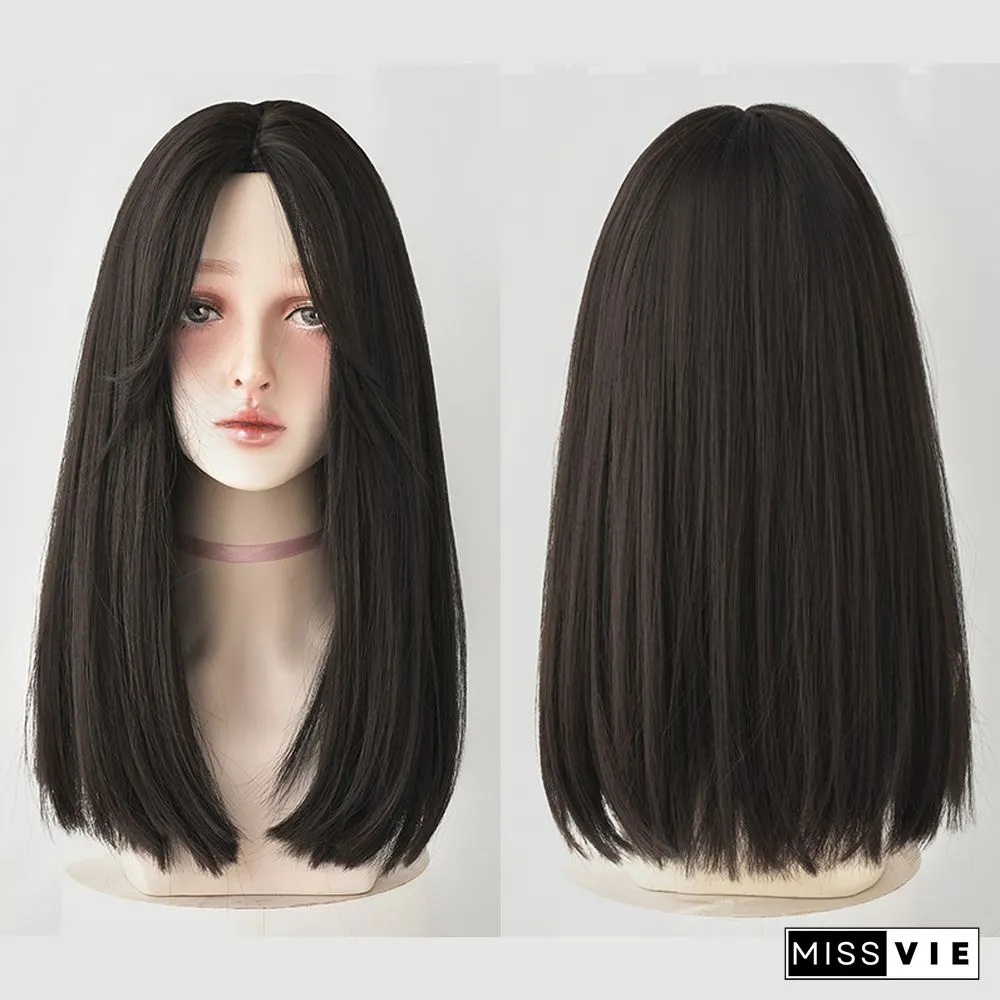 Natural Long Straight Wig