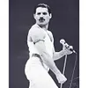Singer - 11CT Stamped Cross Stitch - 40*50cm