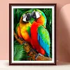 Paint by Numbers Acrylic Painting - Parrot 40*50cm