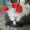 Cat Muscle Arm 3D Printed Neck Arm with Muscle Pet Cosplay Costume Accessories