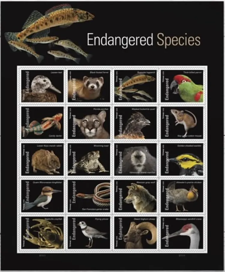 2023 US Endangered Species First Class Postage Forever Stamps