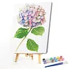 Hydrangeas-Paint by Numbers Acrylic Painting 40*50CM