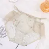 Lace Sexy Mesh Hollow Men's Briefs