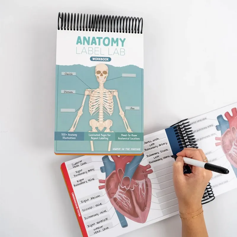 Anatomy Label Lab Workbook, Creative Human Anatomy Busy Book