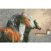Horse - 9CT Full Beaded Cross Stitch Kit(58x38cm)