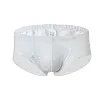Low Waist Sexy Sheer Mesh Lace Briefs
