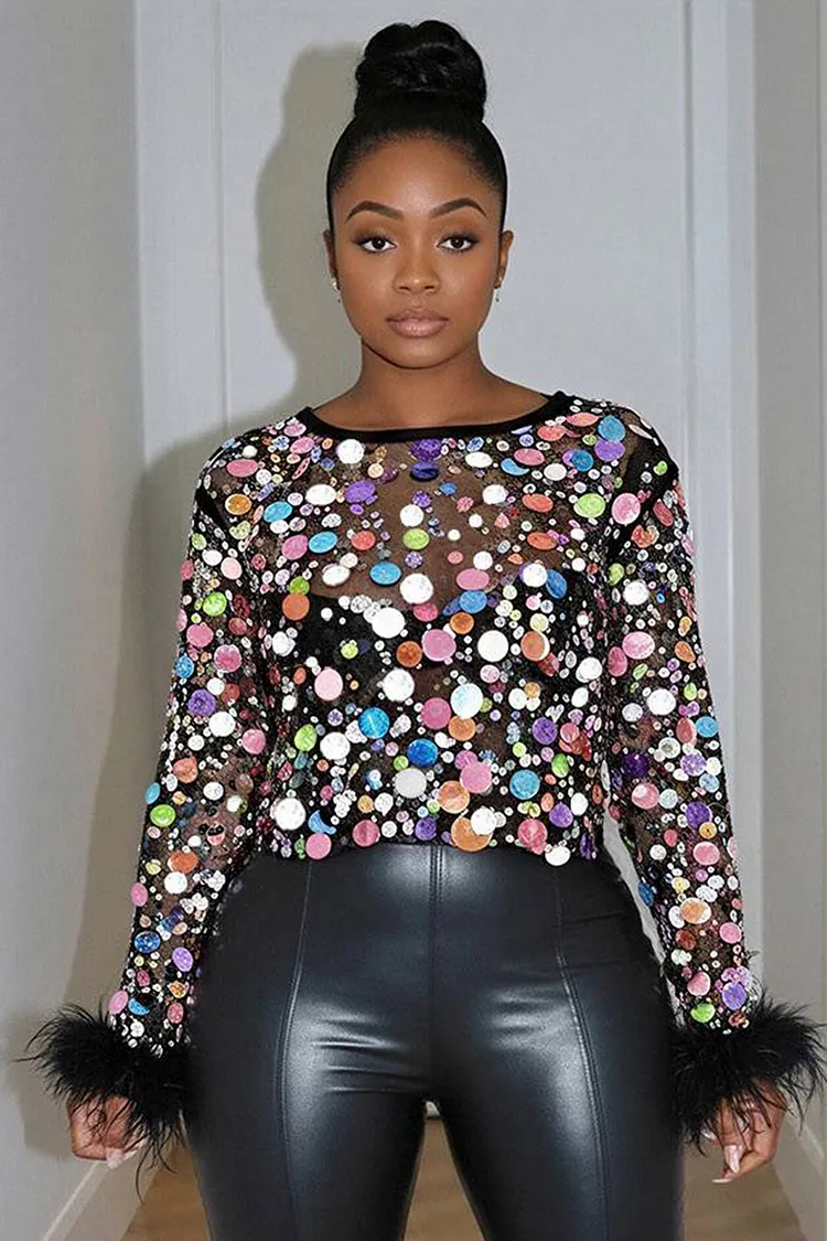 Plus Size Party Blouse Silver Round Neck Disco Sequin Feather Mesh See-Through Blouse  2024 - Xpluswear