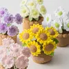 Crochet Flowers Potted Plants Decorative Crochet Ornaments DIY Gifts for Friends