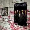 Foreigner - Vintage Metal Signs - 20*30cm/30*40cm - Music