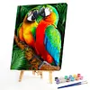 Paint by Numbers Acrylic Painting - Parrot 40*50cm