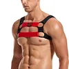 Dominator Harness
