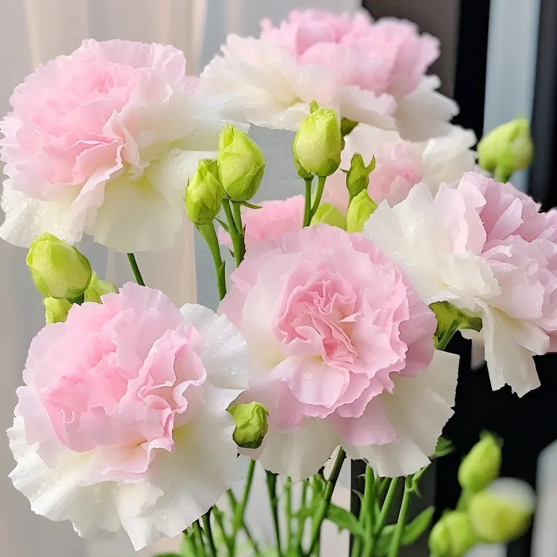 Premium Lisianthus Seeds &ndash; Grow Elegant, Long-Lasting Blooms in Your Garden