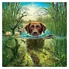 Dog - Full Round Diamond Painting  30x30cm