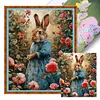 Peter Rabbit-11CT/18CT Stamped Cross Stitch 40*50cm
