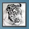 Tiger-Paint by Numbers Acrylic Painting 20*20cm