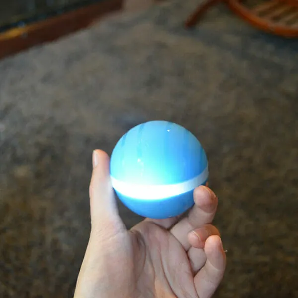 Pet Balls