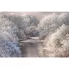 Forest-11CT Stamped Cross Stitch Kit(40*60cm)