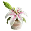 Crochet Flowers Potted Plants Decorative Crochet Ornaments DIY Gifts for Friends