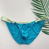 Sexy Hollow Bikini Briefs for Men Ice Silk Low Rise Bulge Pouch Underwear