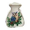 (US Local)Acrylic Wooden Owl Bag Shape Diamond Painting Piggy Bank Storage Box Kit